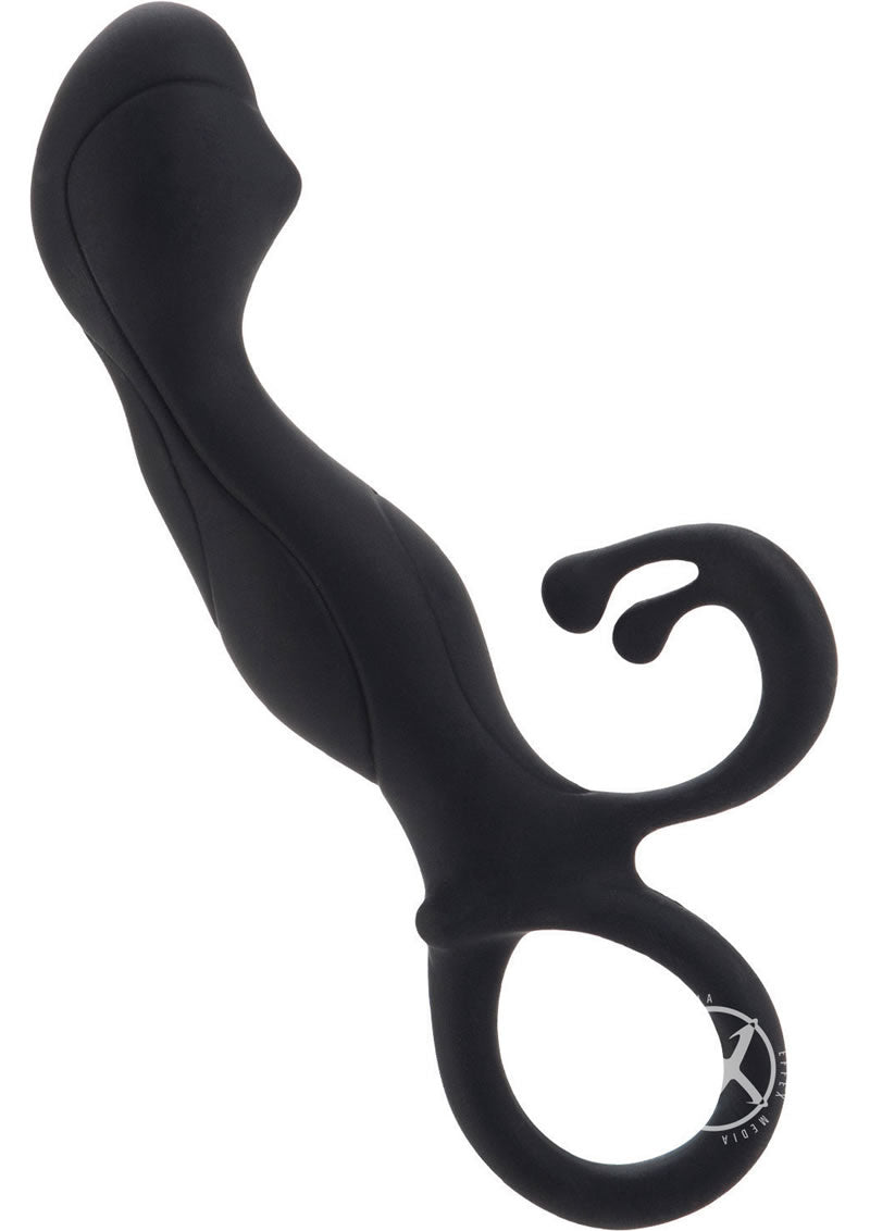 Dr. Joel Kaplan Universal Prostate Probe