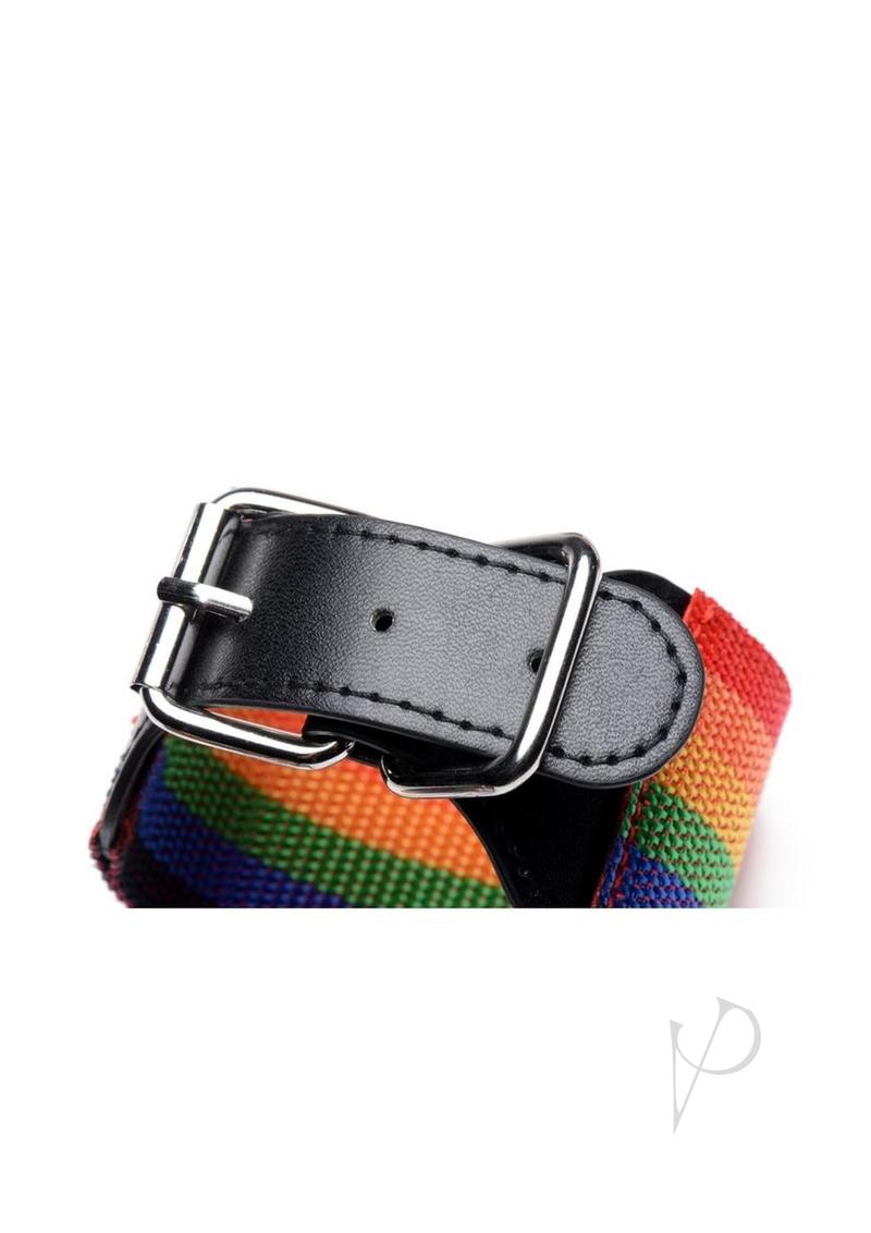 Kinky Pride Rainbow Bondage Set